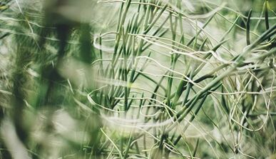 Come realizzare un amuleto portafortuna con le tue mani