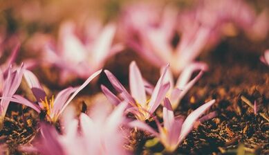 come realizzare un amuleto fortunato con le tue mani